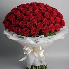Букет 101 Красная роза Блэк Мэджик в Кизляре Республики Северная Осетия-Алания