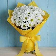Букет цветов из:  Хризантемы в Кизляре Республики Северная Осетия-Алания