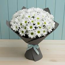 Букет цветов из:  Хризантемы #REPLACE_PRED# Кизляре Республики Северная Осетия-Алания