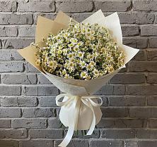 Букет цветов из:  Ромашки в Кизляре Республики Северная Осетия-Алания