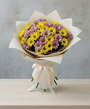 Букет цветов из:  Хризантемы в Кизляре Республики Северная Осетия-Алания