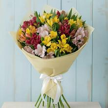 Букет цветов из:  Альстромерии в Кизляре Республики Северная Осетия-Алания
