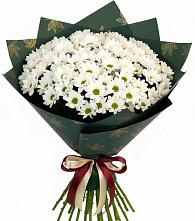 Букет цветов из:  Хризантемы в Кизляре Республики Северная Осетия-Алания