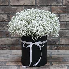 Цветочная композиция из Гипсофила в шляпной коробке #REPLACE_PRED# Кизляре Республики Северная Осетия-Алания