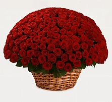 Премиум букет из: Розы в Кизляре Республики Северная Осетия-Алания
