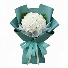 Букет цветов из:  Гортензия #REPLACE_PRED# Кизляре Республики Северная Осетия-Алания